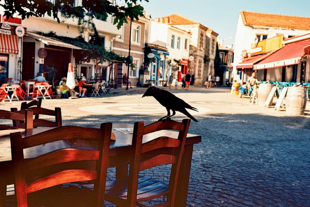 Bozcaada Travel Guide – Attractions, Transport, Best Time to Visit